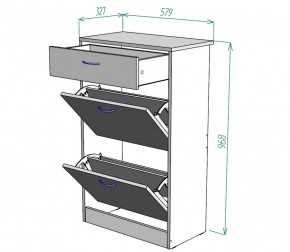 Обувница W21 (ДМ) в Среднеуральске - sredneuralsk.mebel-e96.ru