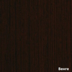 Шкаф-купе Рио 1-600 Амели (полки справа) в Среднеуральске - sredneuralsk.mebel-e96.ru