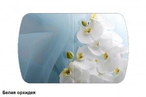 Стол Бостон 2 (1100*700) опоры Брифинг (Стекло/фотопечать Белая орхидея) в Среднеуральске - sredneuralsk.mebel-e96.ru | фото