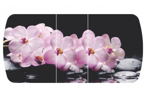 Стол Бостон-3 (Розовая Орхидея) 1100/1420*700, опора Брифинг в Среднеуральске - sredneuralsk.mebel-e96.ru