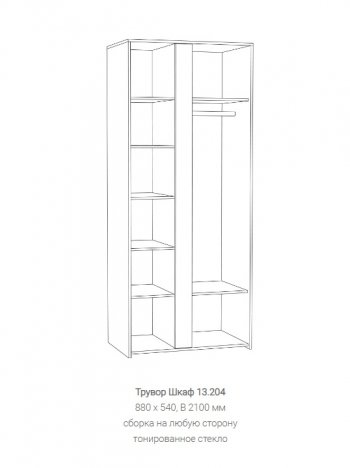 Шкаф Трувор 13.204 в Среднеуральске - sredneuralsk.mebel-e96.ru